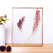 Load image into Gallery viewer, Hanging Metal Glass Picture Frame - Photo Frame for Family Wedding Photo Geometric Ornament Plant Sample Clip for Pressed Flowers Photos
